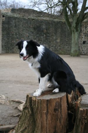 30031-12-06(2) 003.jpg